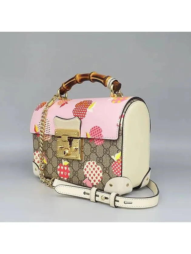 603221 2 WAY bag