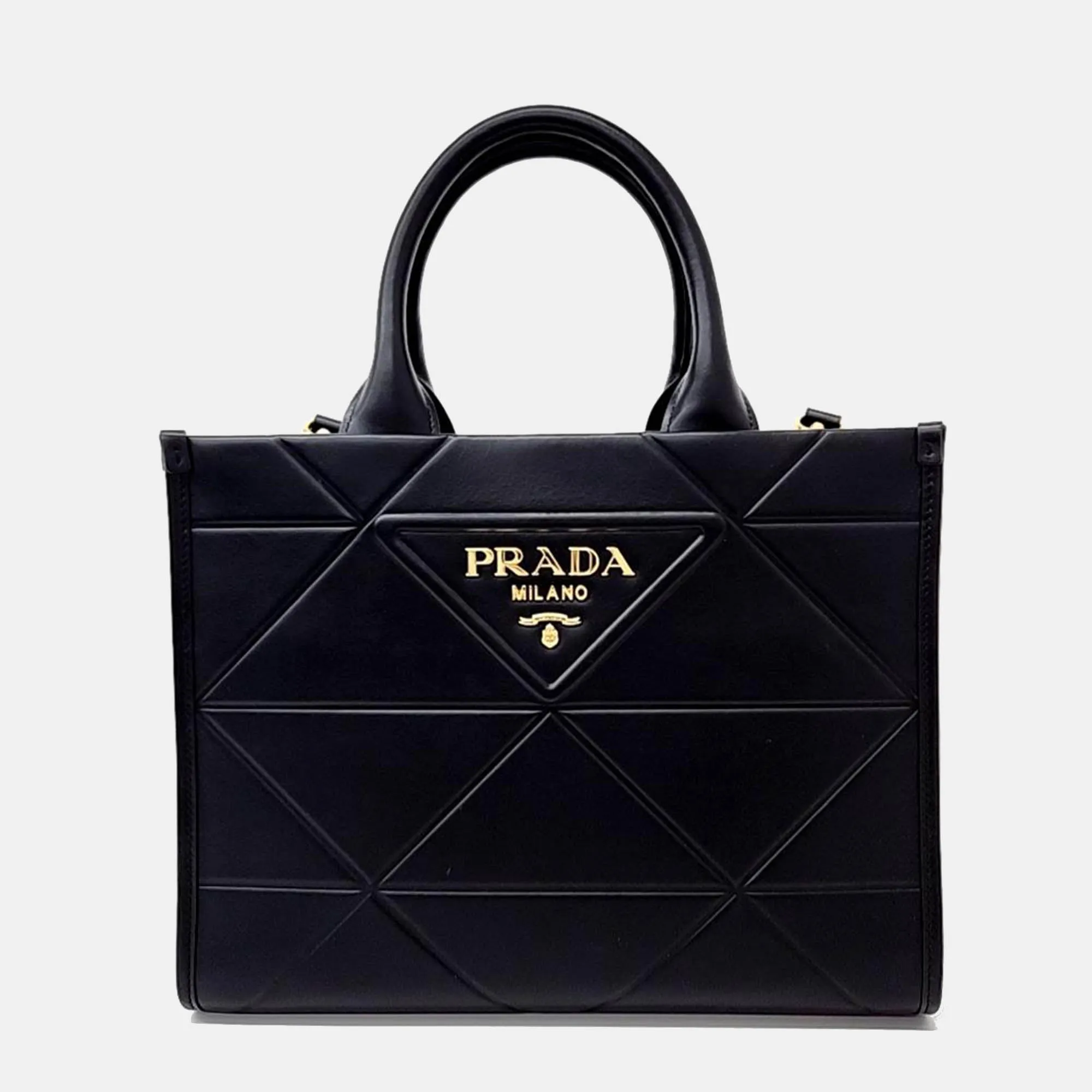 Black Leather Tote & Shoulder Bag