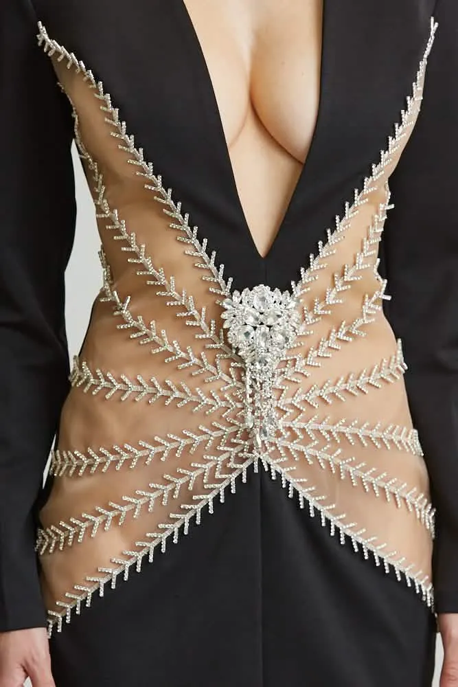 Glamorous Sheer Panel Evening Gown